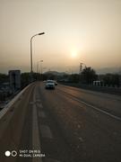 a葱的个人资料头像