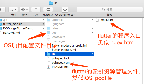 flutter module文件分析.png