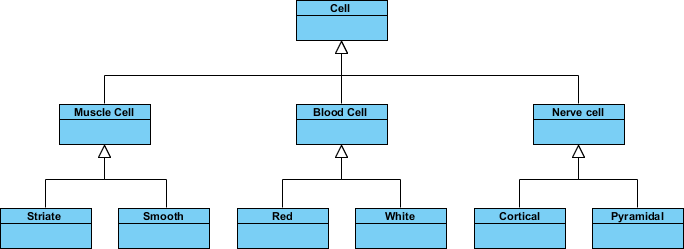11-inheritance-example