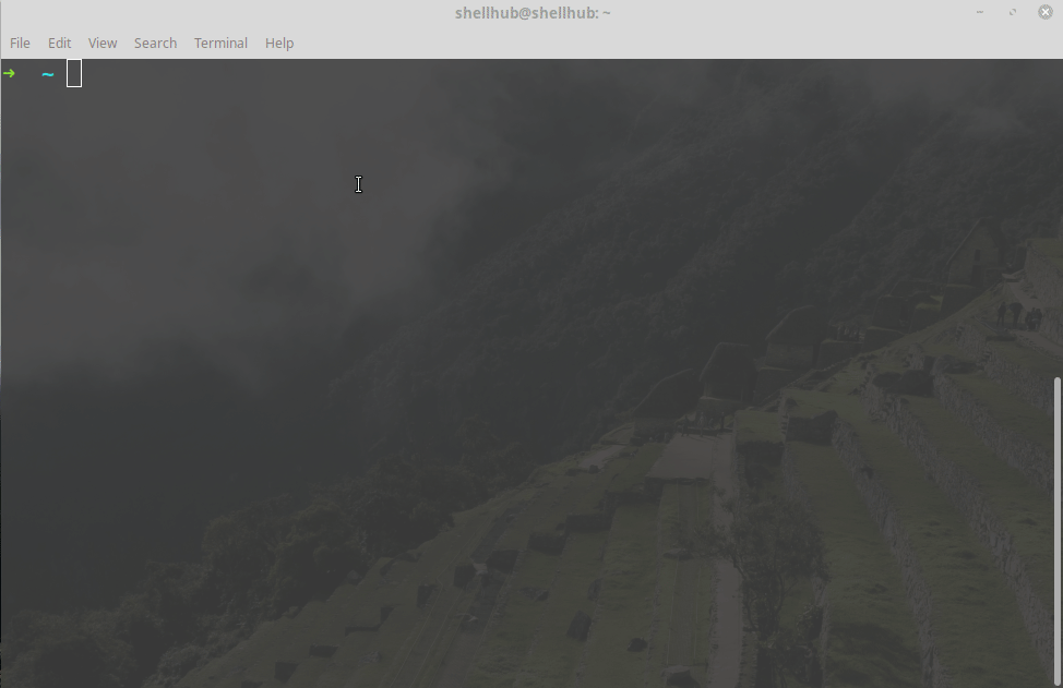 peek 2018-08-31 09-45