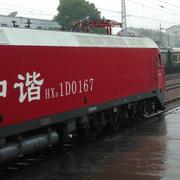 胖孩的个人资料头像