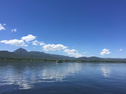 shd54284的个人资料头像