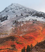 dark_91的个人资料头像