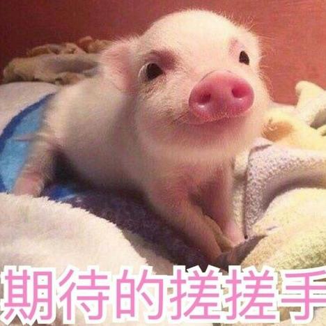 AprilZhao于2018-09-07 11:47发布的图片