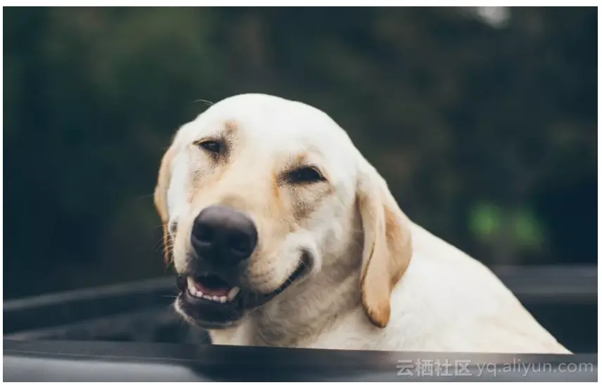 a8d6c701a5867c0634cae884a5d0b300cd443408