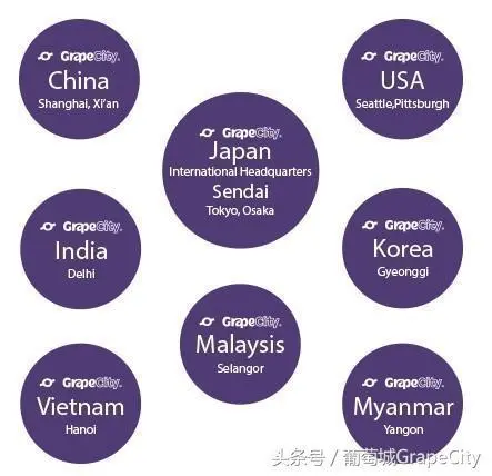 葡萄城 SpreadJS 表格控件 V11 产品白皮书