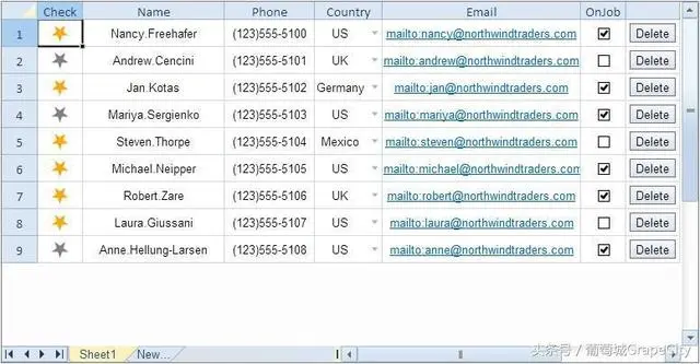 葡萄城 SpreadJS 表格控件 V11 产品白皮书