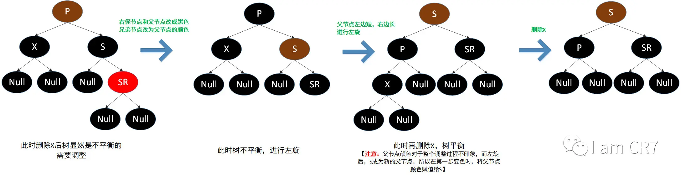 图注:兄弟为黑，远侄为红