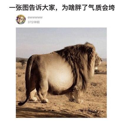 娱乐小编于2019-01-10 09:14发布的图片