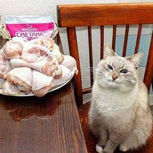 程序员鼓励喵于2019-01-10 13:45发布的图片