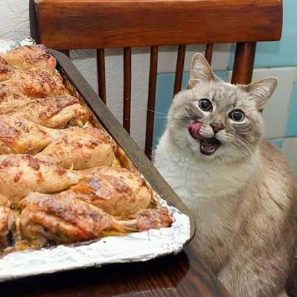 程序员鼓励喵于2019-01-10 13:45发布的图片