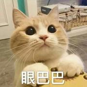 他喵的的个人资料头像