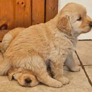 TampeWang的个人资料头像