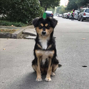 stronger35的个人资料头像