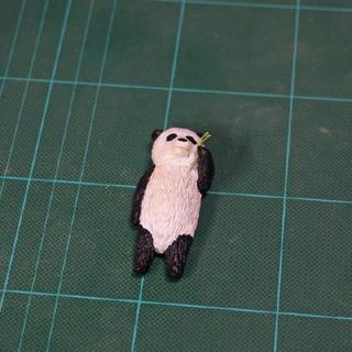 于2019-01-13 10:39发布的图片