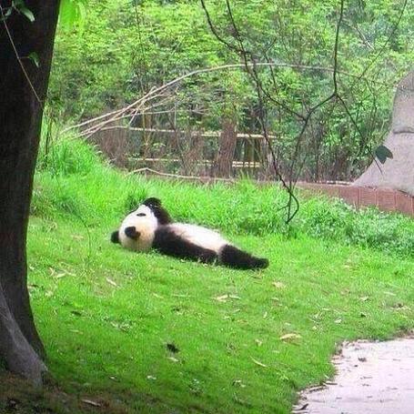 于2019-01-13 10:39发布的图片