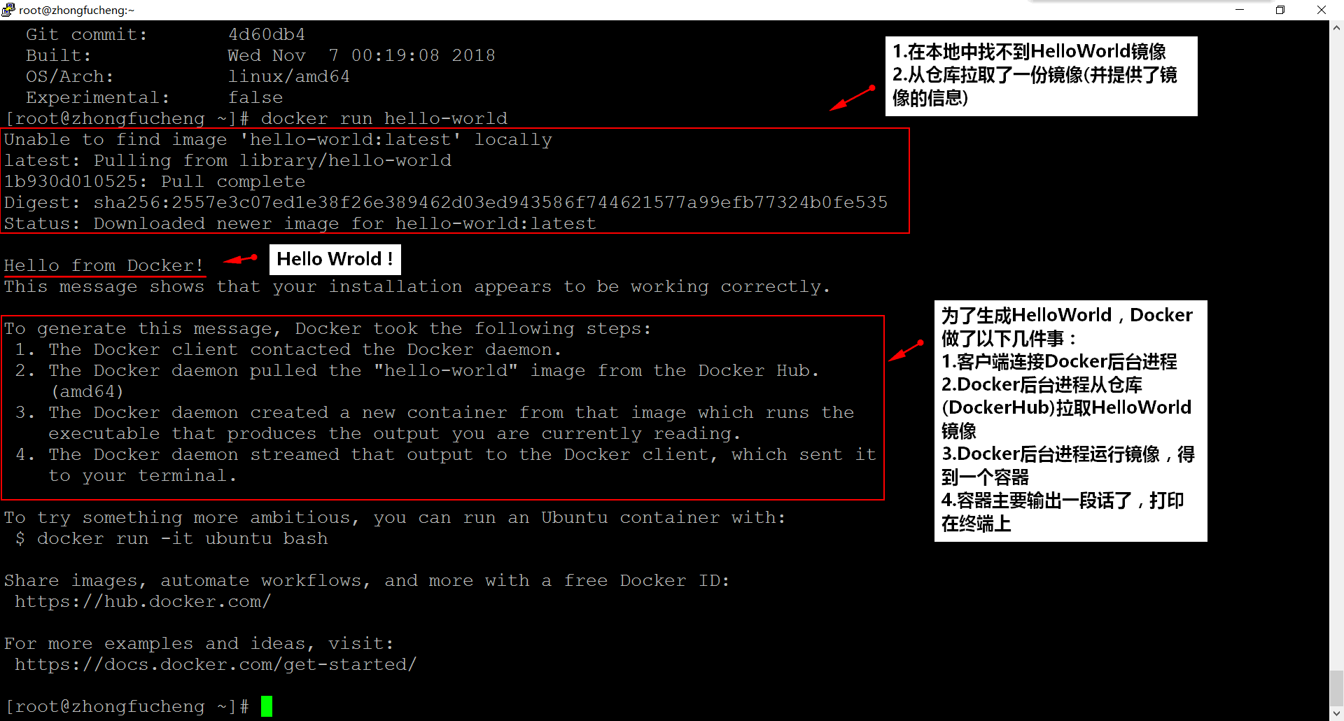 Docker中的HelloWorld Docker中的HelloWorld