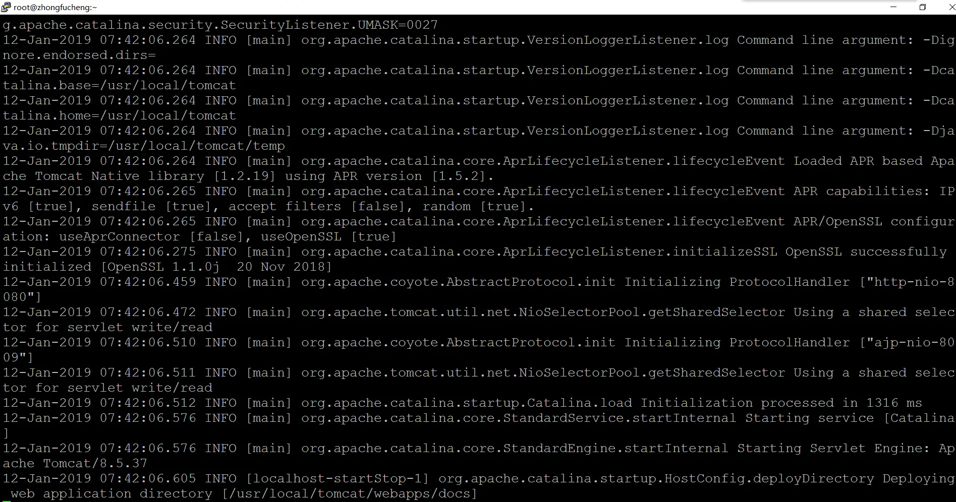 Tomcat运行起来了