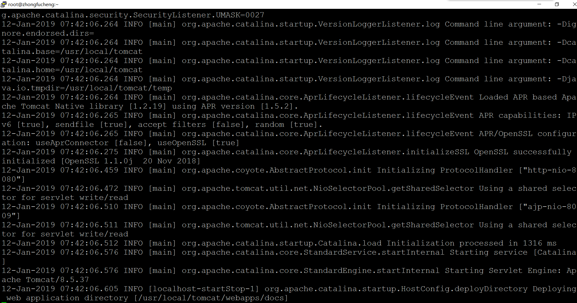 Tomcat运行起来了 Tomcat运行起来了