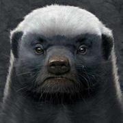 张允的个人资料头像