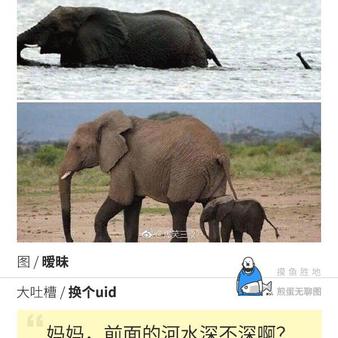 娱乐小编于2019-01-14 14:02发布的图片