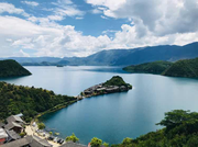 虽有佳肴的个人资料头像