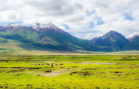 Android事件传递、多点触控及滑动冲突的处理