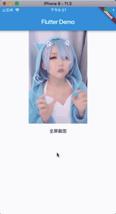 Flutter之屏幕截图/组件截图