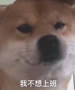 sknight的个人资料头像