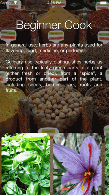 Presentation Animations