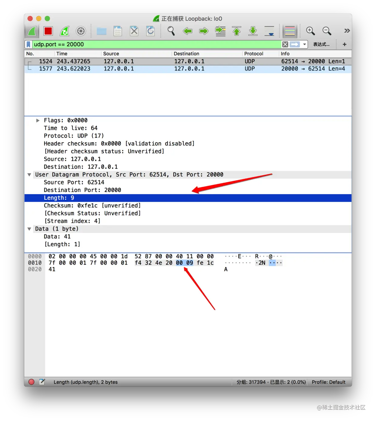 UDP数据报的字节长度