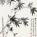 陈泽凡小帅帅的个人资料头像