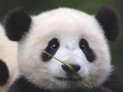 yun_ya的个人资料头像