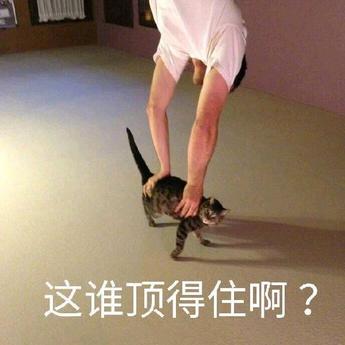 娱乐小编于2019-01-18 16:32发布的图片