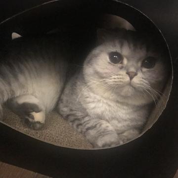 小蝴蝶于2019-01-18 17:01发布的图片