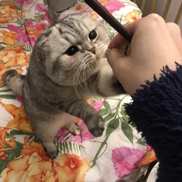 小蝴蝶于2019-01-18 17:01发布的图片