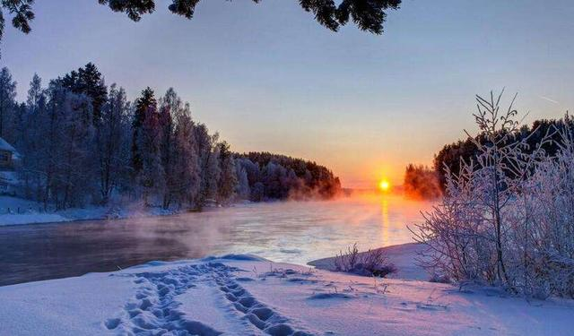 本科毕业平均年薪 30 万!经济寒冬挡不住 AI 人才的火热!