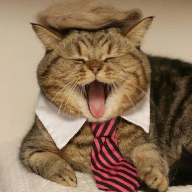 程序员鼓励喵于2019-01-02 09:22发布的图片