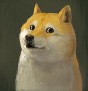 rjdmw100的个人资料头像