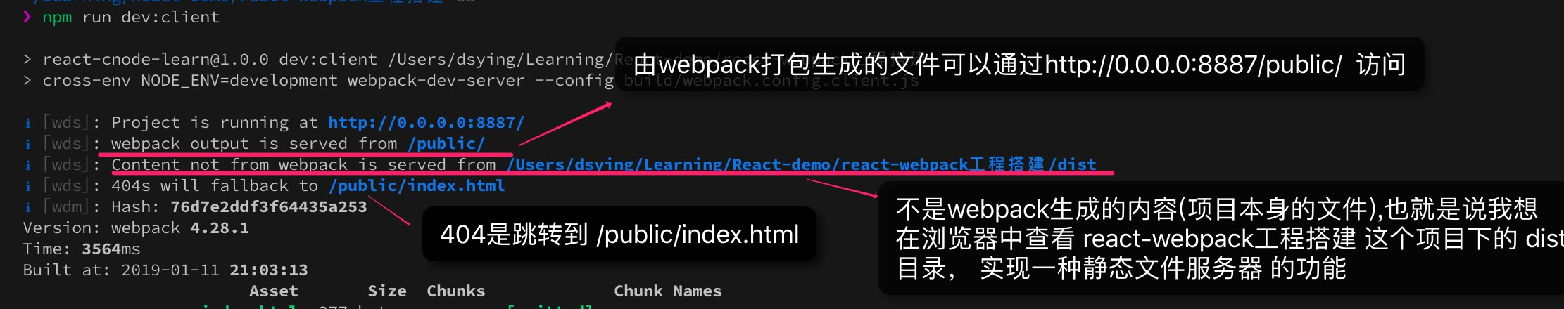 webpack-dev-server