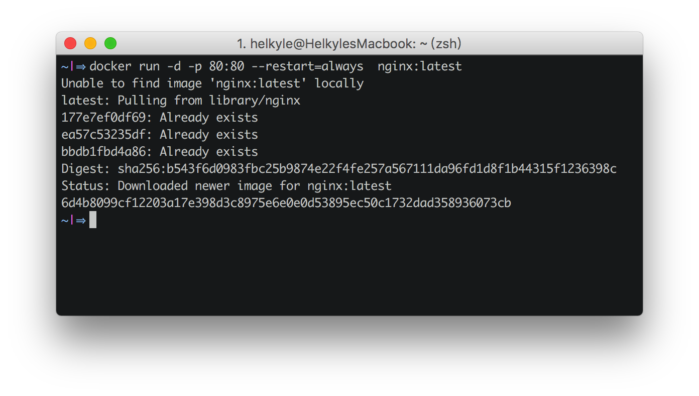 nginx