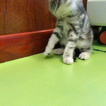 程序员趣事于2019-01-21 17:08发布的图片