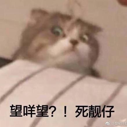 湘南于2019-01-21 21:40发布的图片