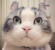 snaketears的个人资料头像