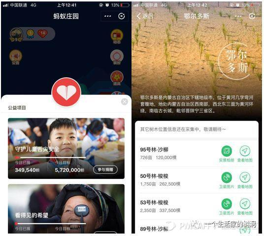 0b5f99cf35e193a651378ffd6dc48bab-picture