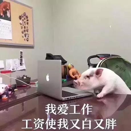 woodoo于2019-01-23 19:52发布的图片