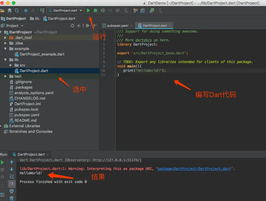 Dart运行结果示意