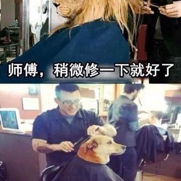 娱乐小编于2019-01-25 08:28发布的图片