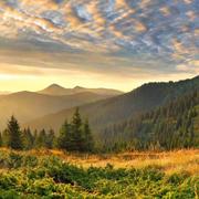 java4j的个人资料头像