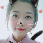 互联网宋小宋的个人资料头像